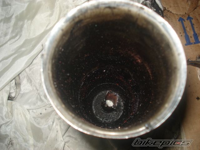 Photo 2303379