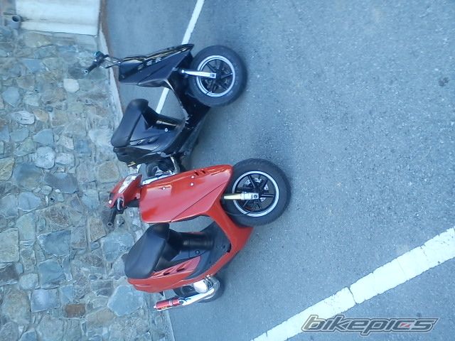 Photo 2303395