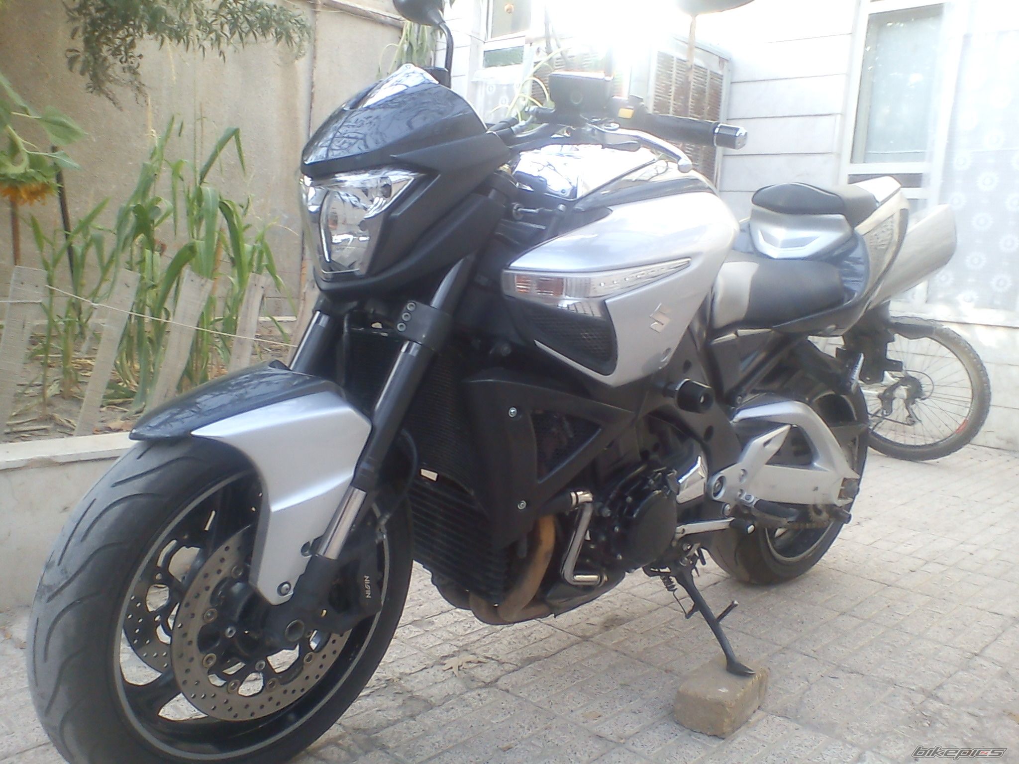 Photo 2303444
