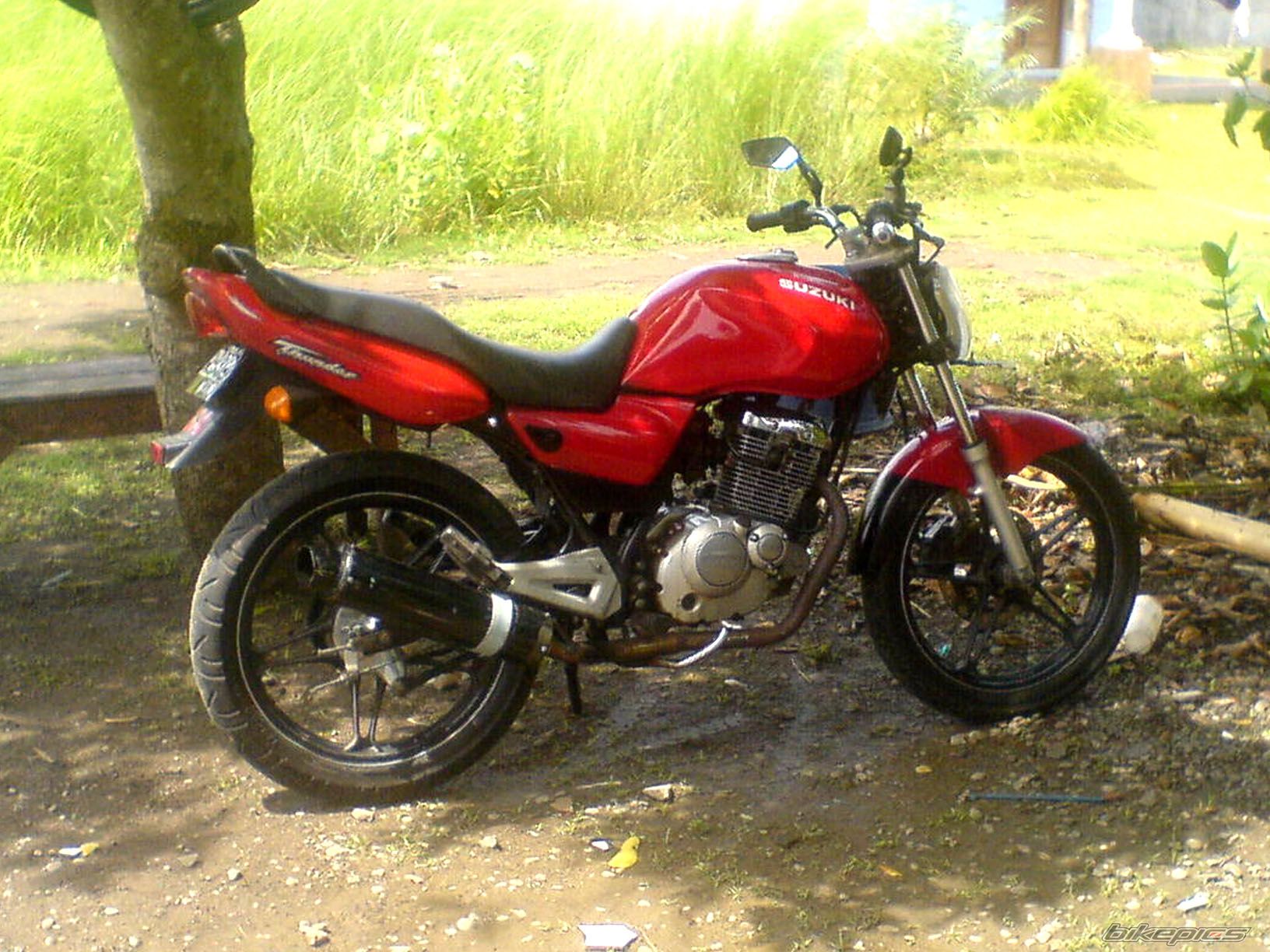 Photo 2303450