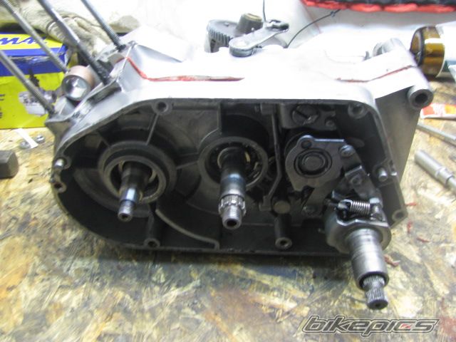 Photo 2303459