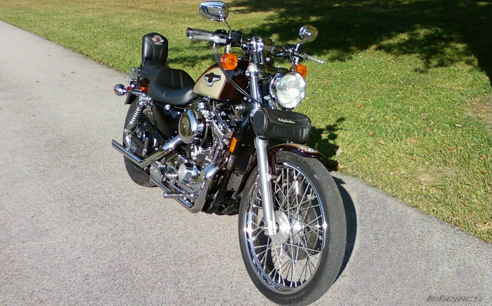 Photo 2303549