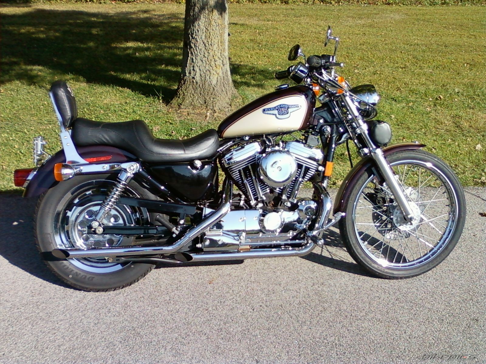 Photo 2303550