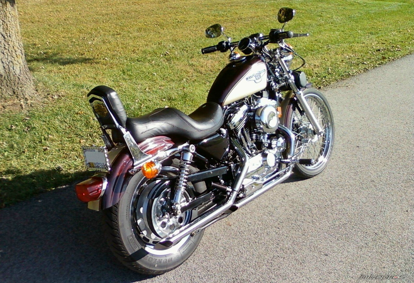 Photo 2303551