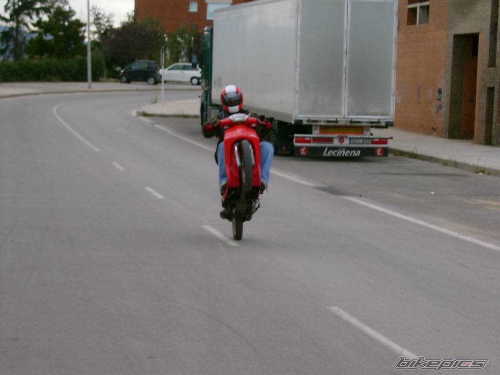 Photo 230357