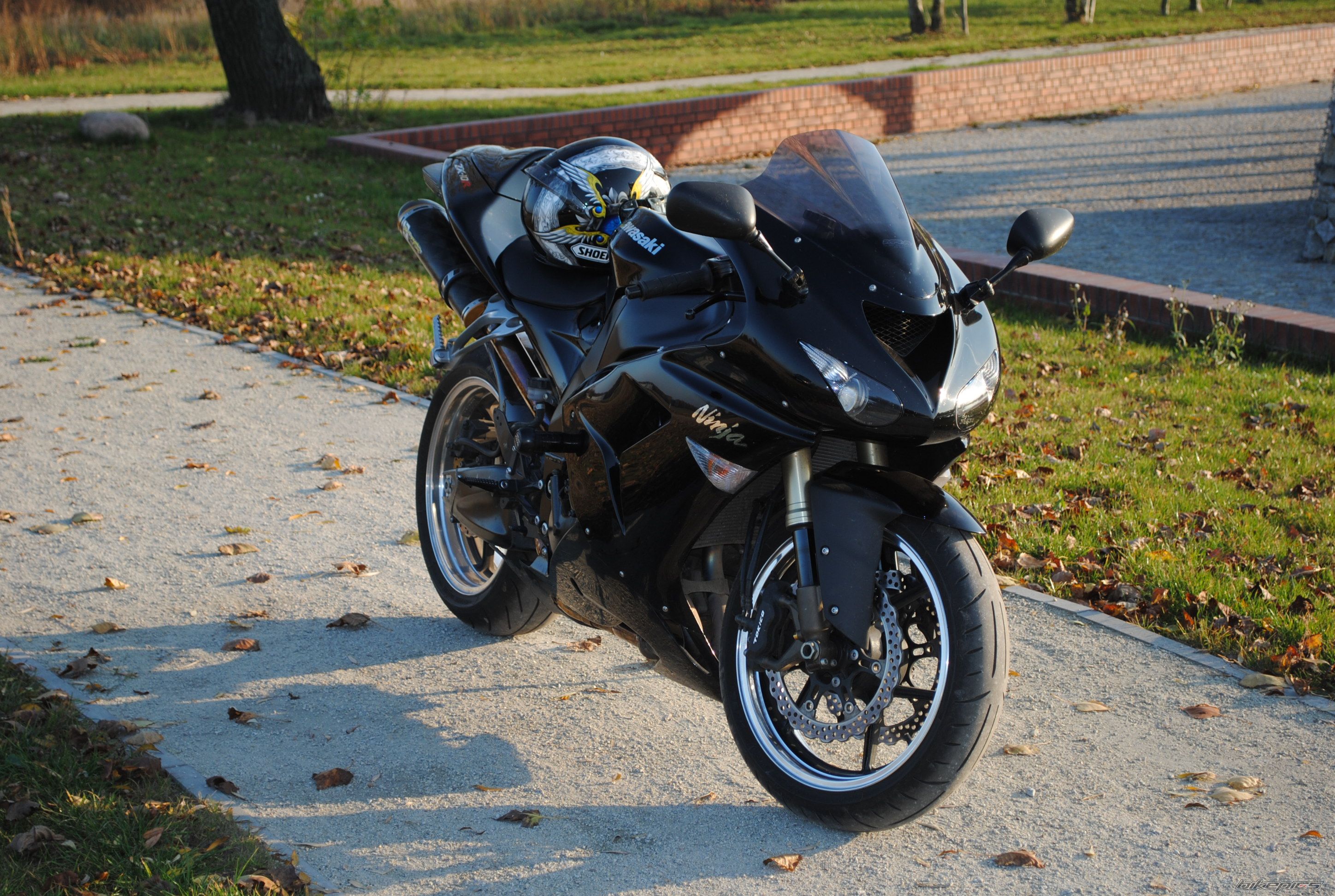 Photo 2303583