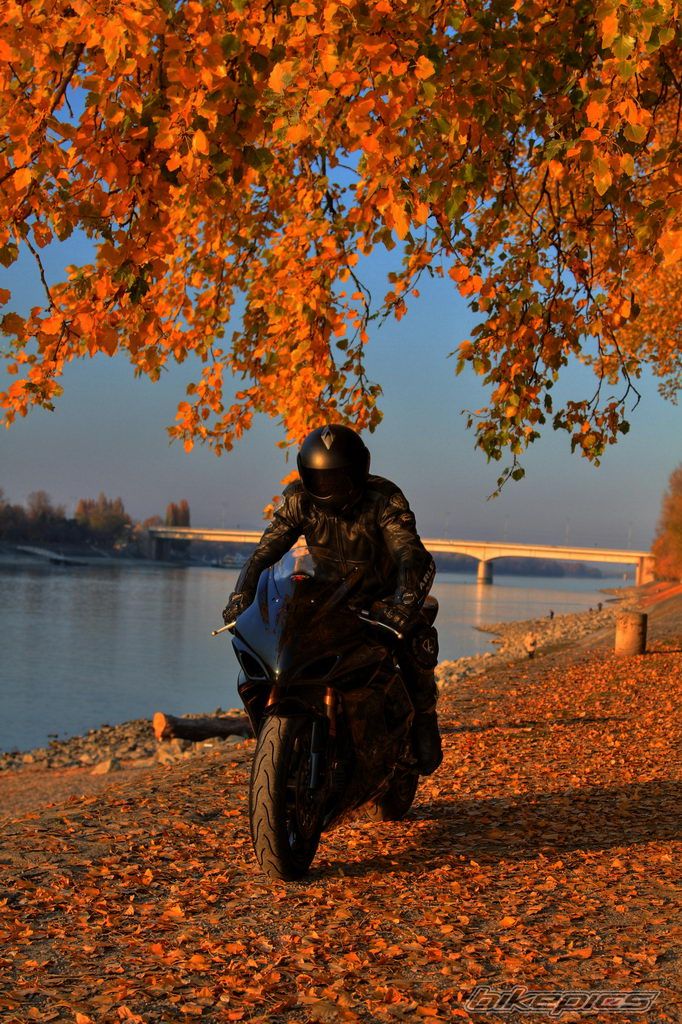Bike Photo 2303584
