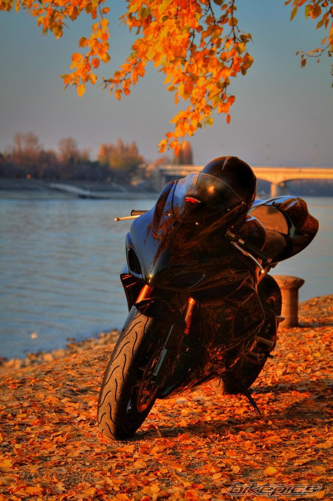 Bike Photo 2303594