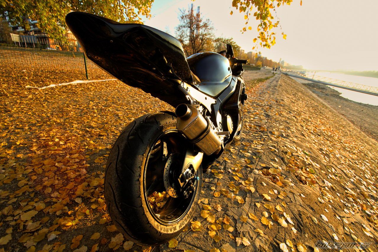 Bike Photo 2303595