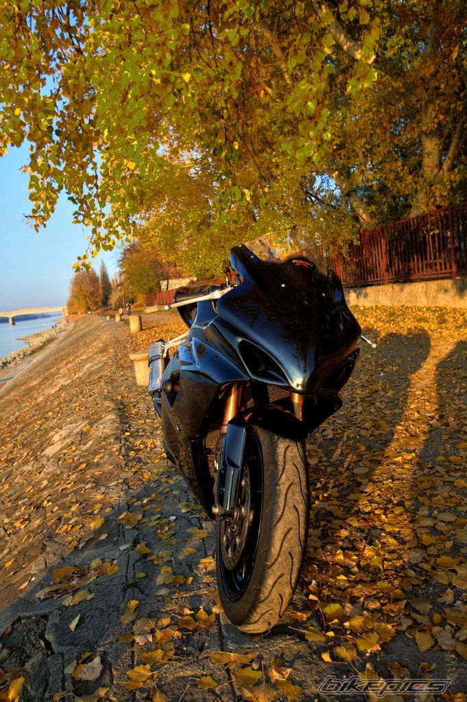 Bike Photo 2303596