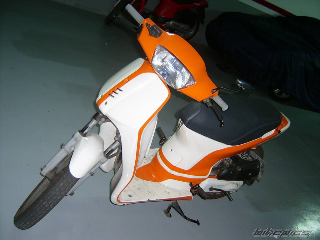 Photo 230360