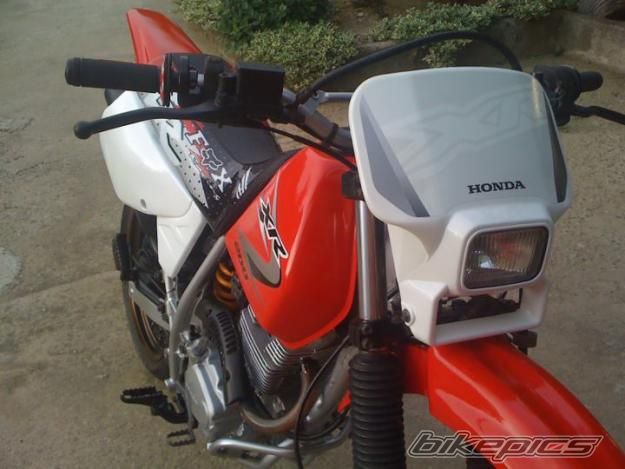 Photo 2303609
