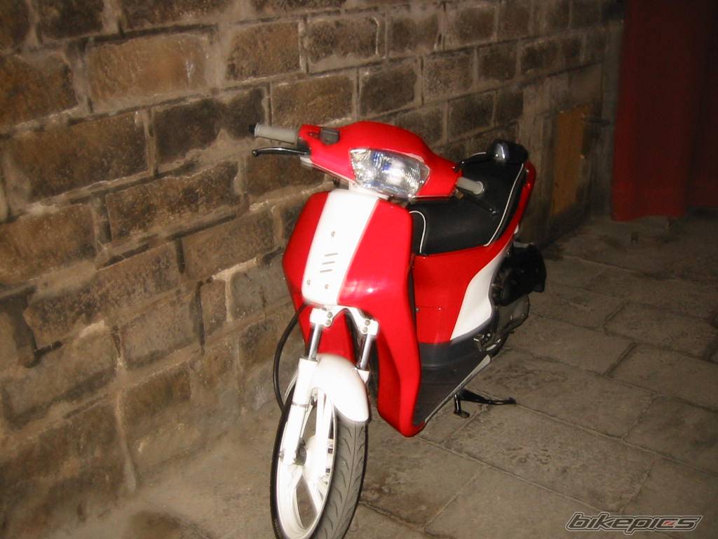 Photo 230361