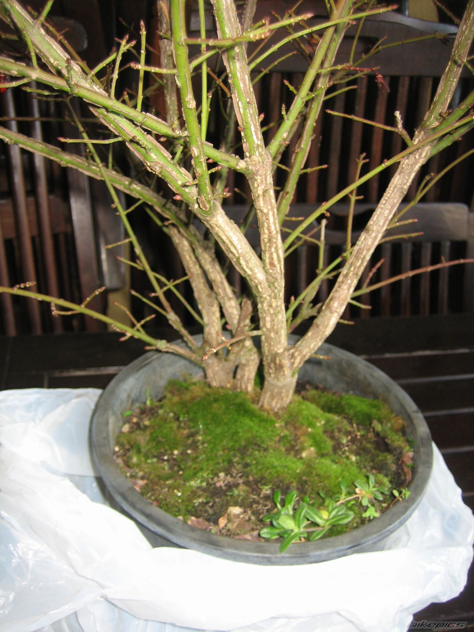 Photo 2303614