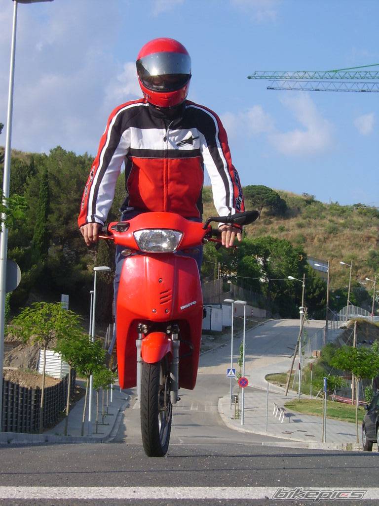 Photo 230363