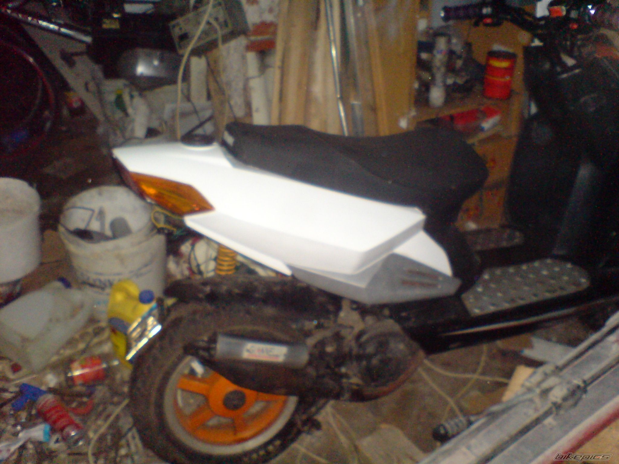 Photo 2303674