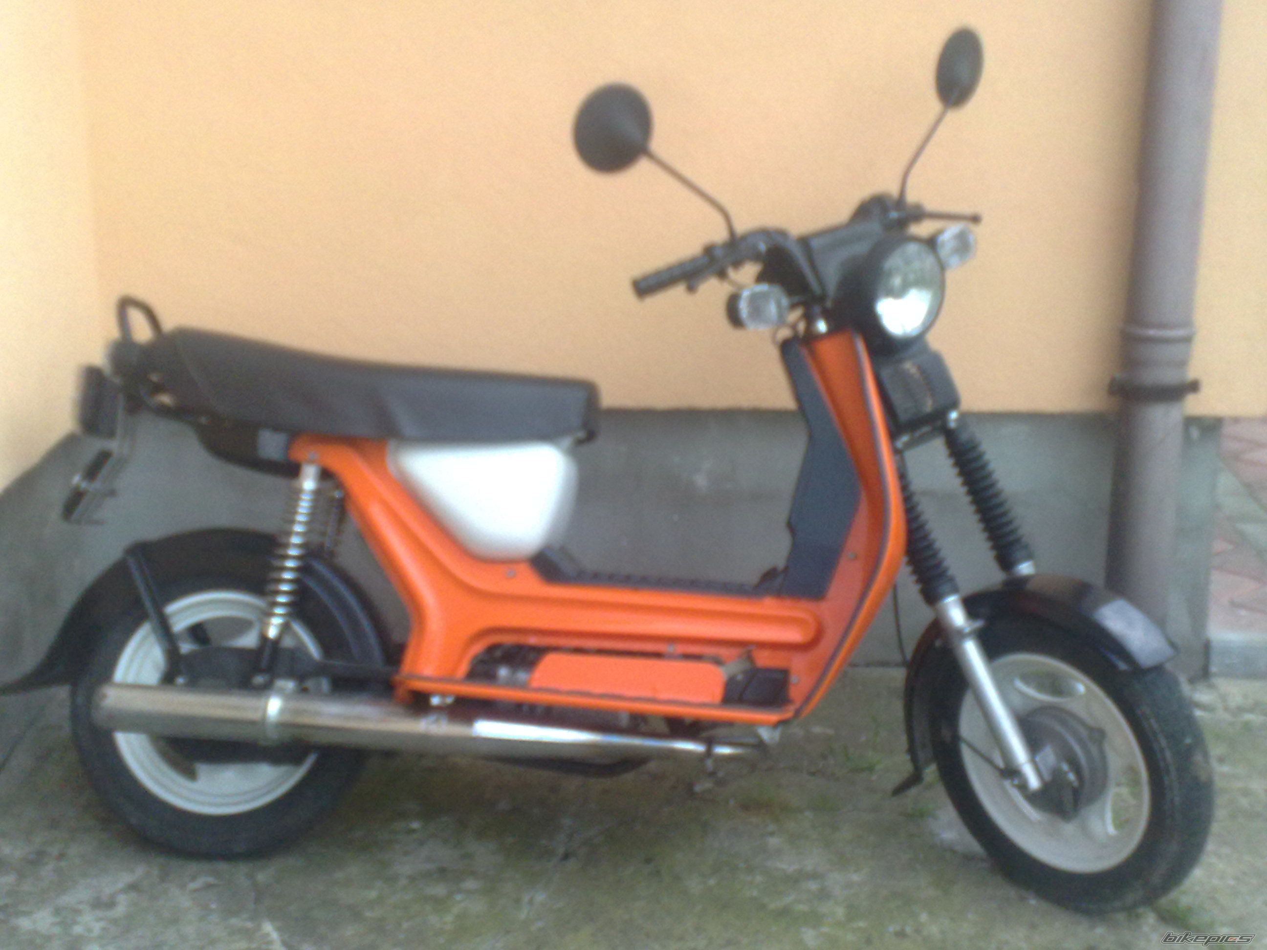 Photo 2303682