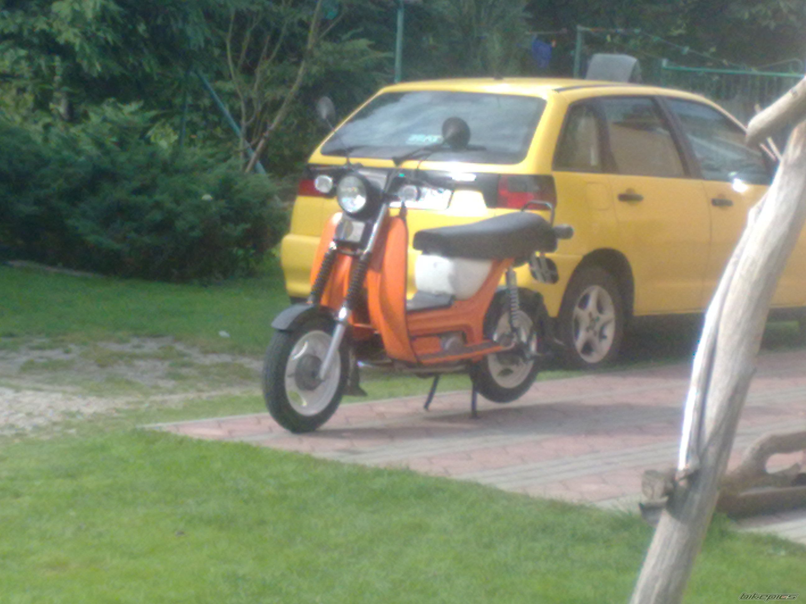 Photo 2303683