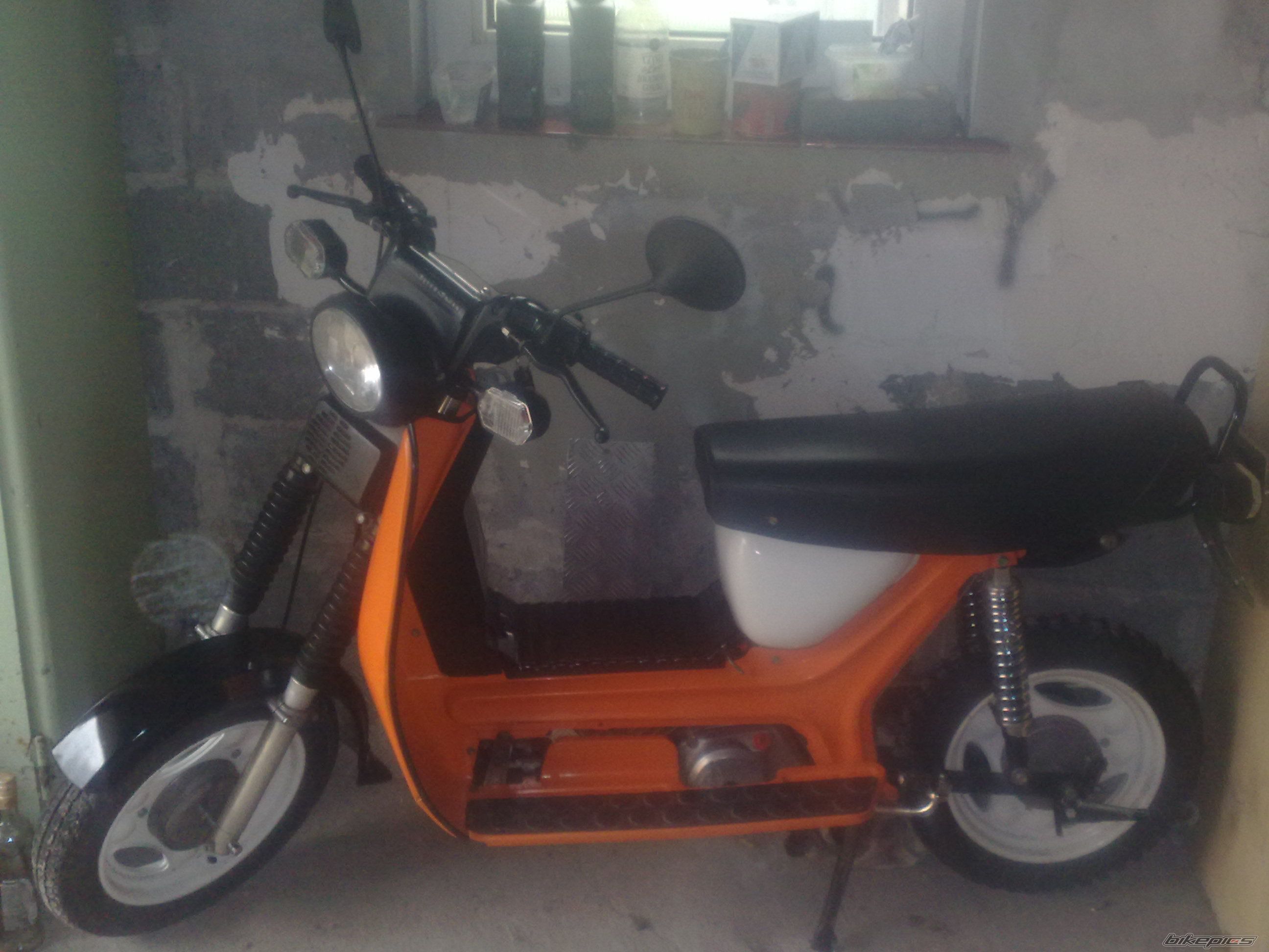 Photo 2303687