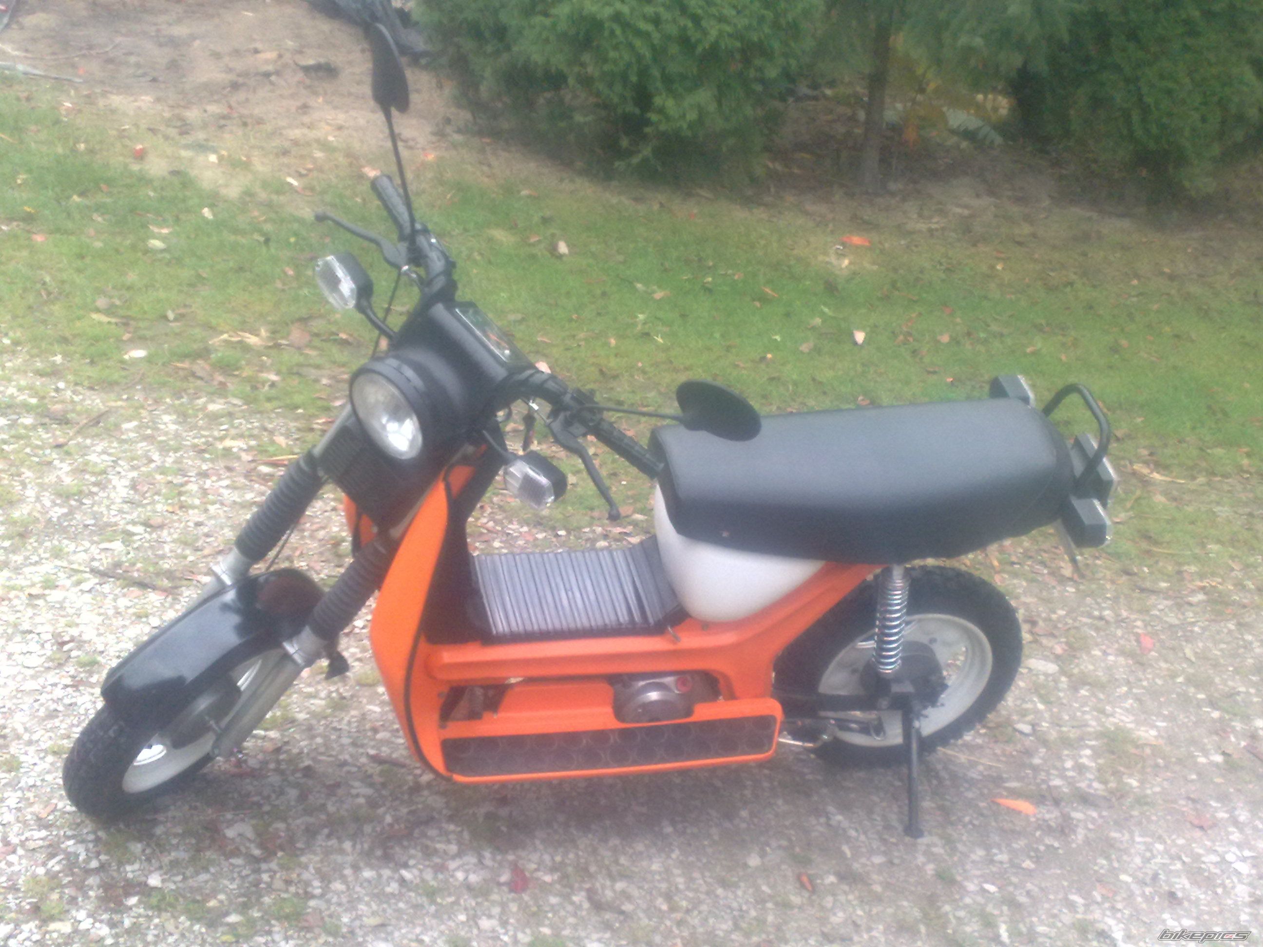 Photo 2303690