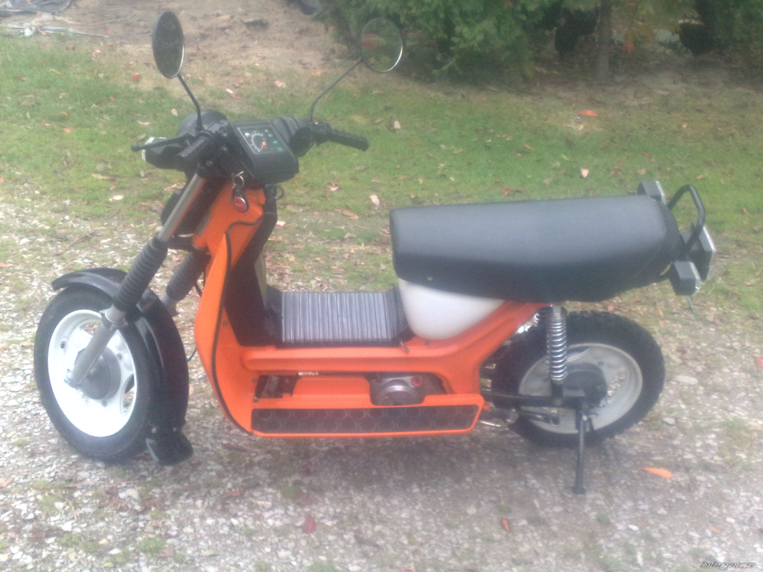 Photo 2303691
