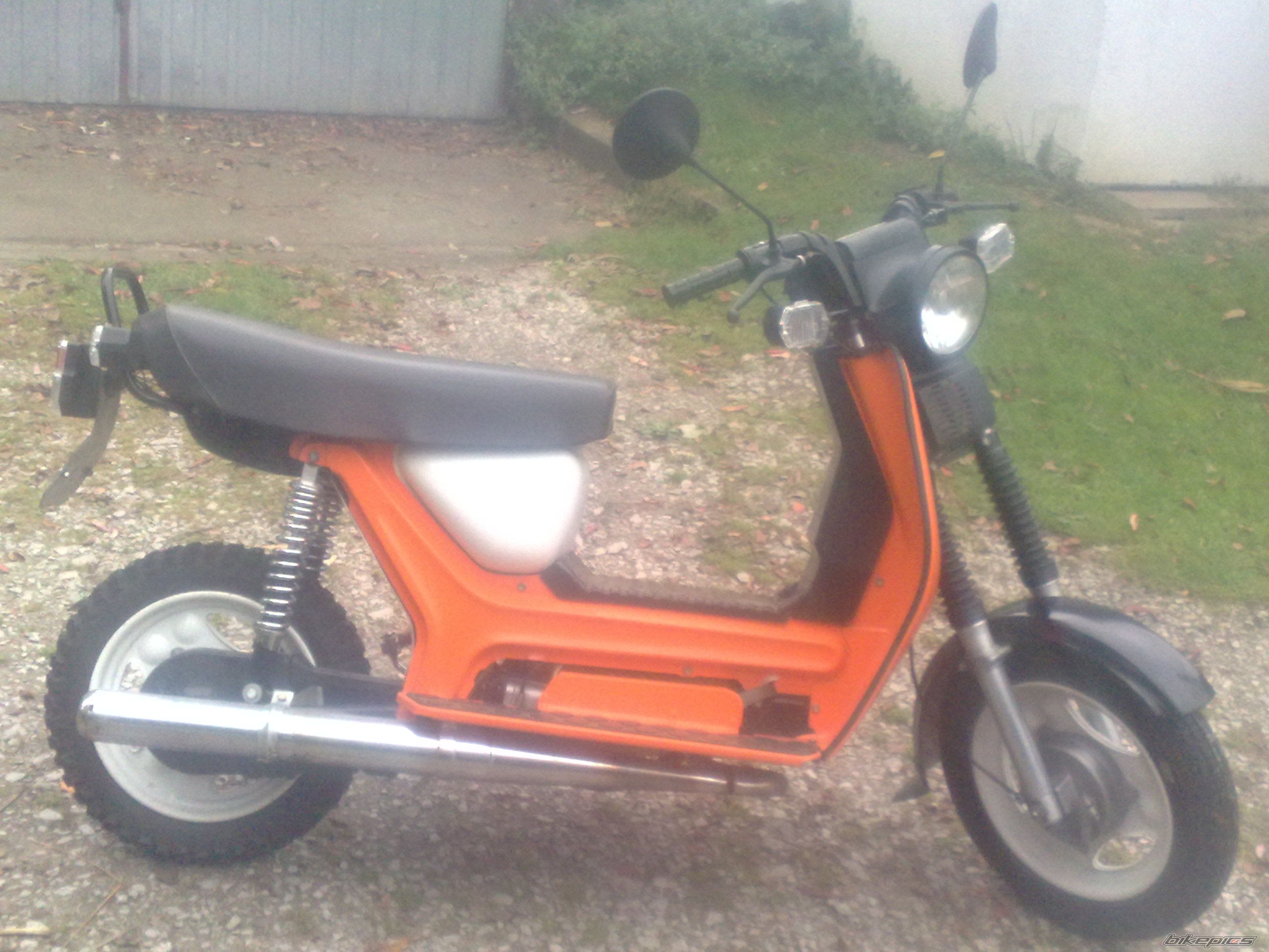 Photo 2303694