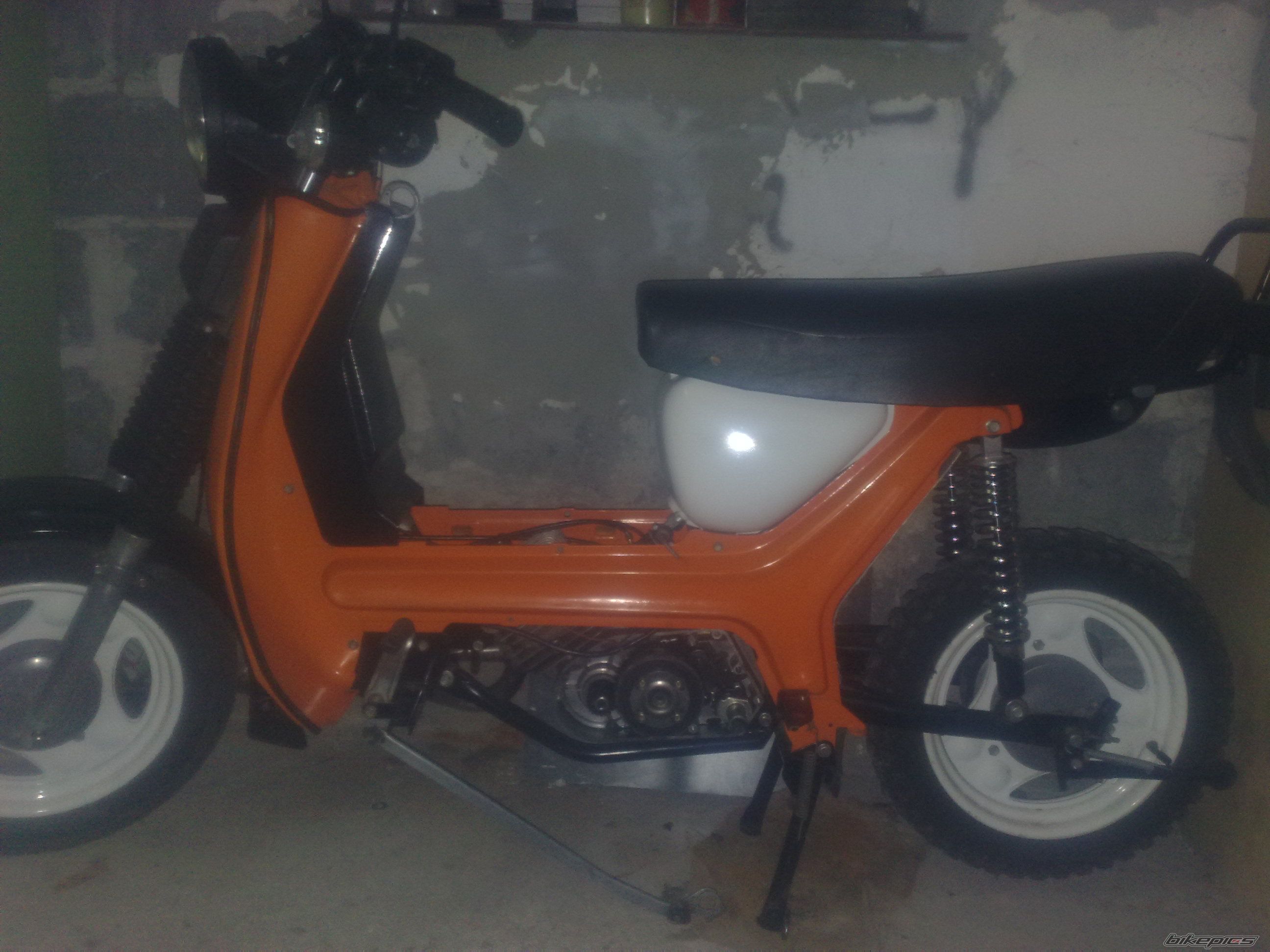 Photo 2303695