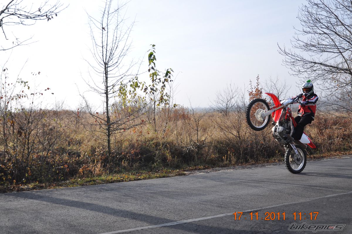 Photo 2303696
