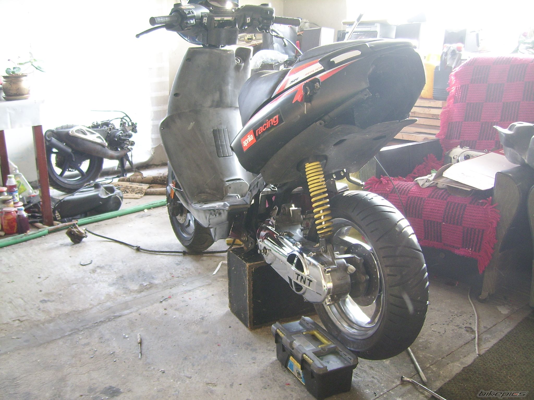 Photo 2303714