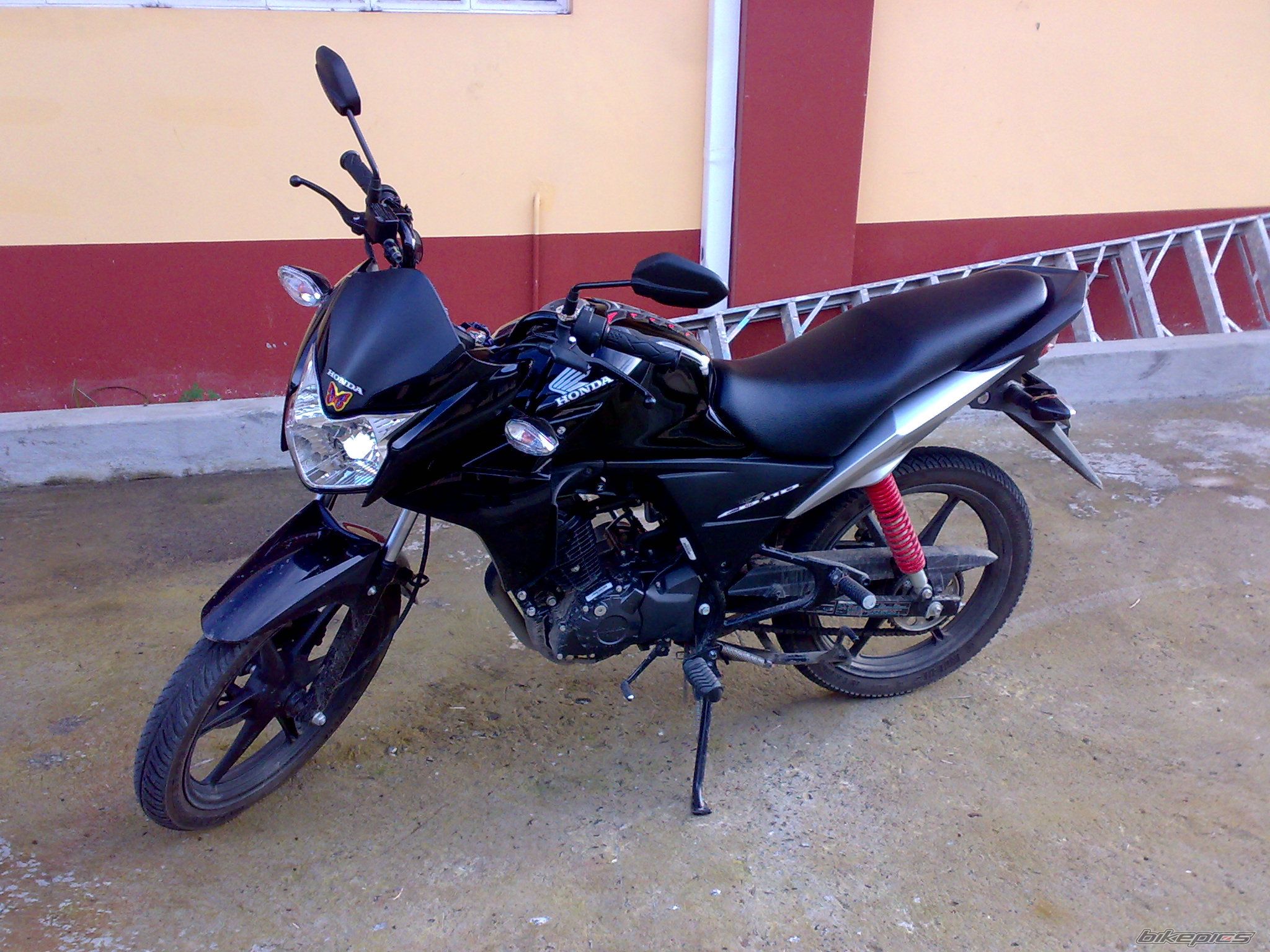 Photo 2303734