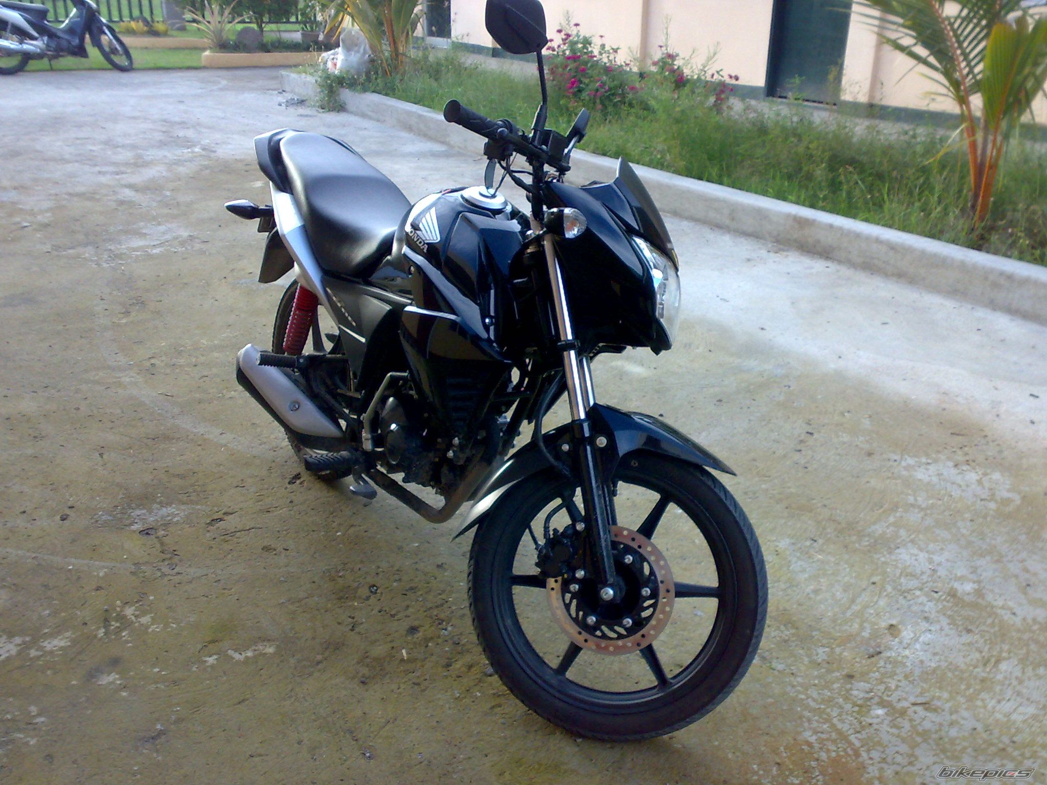Photo 2303735