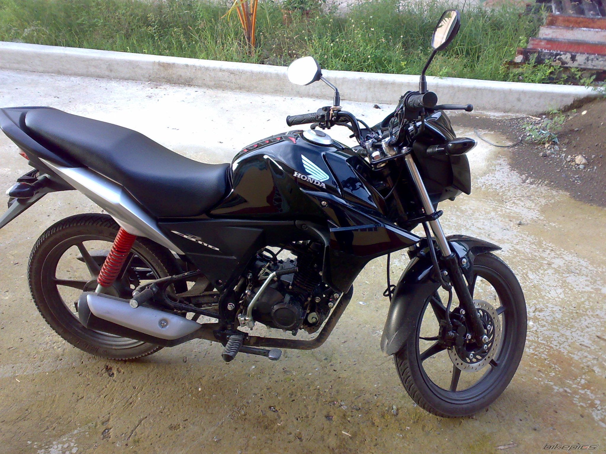 Photo 2303736