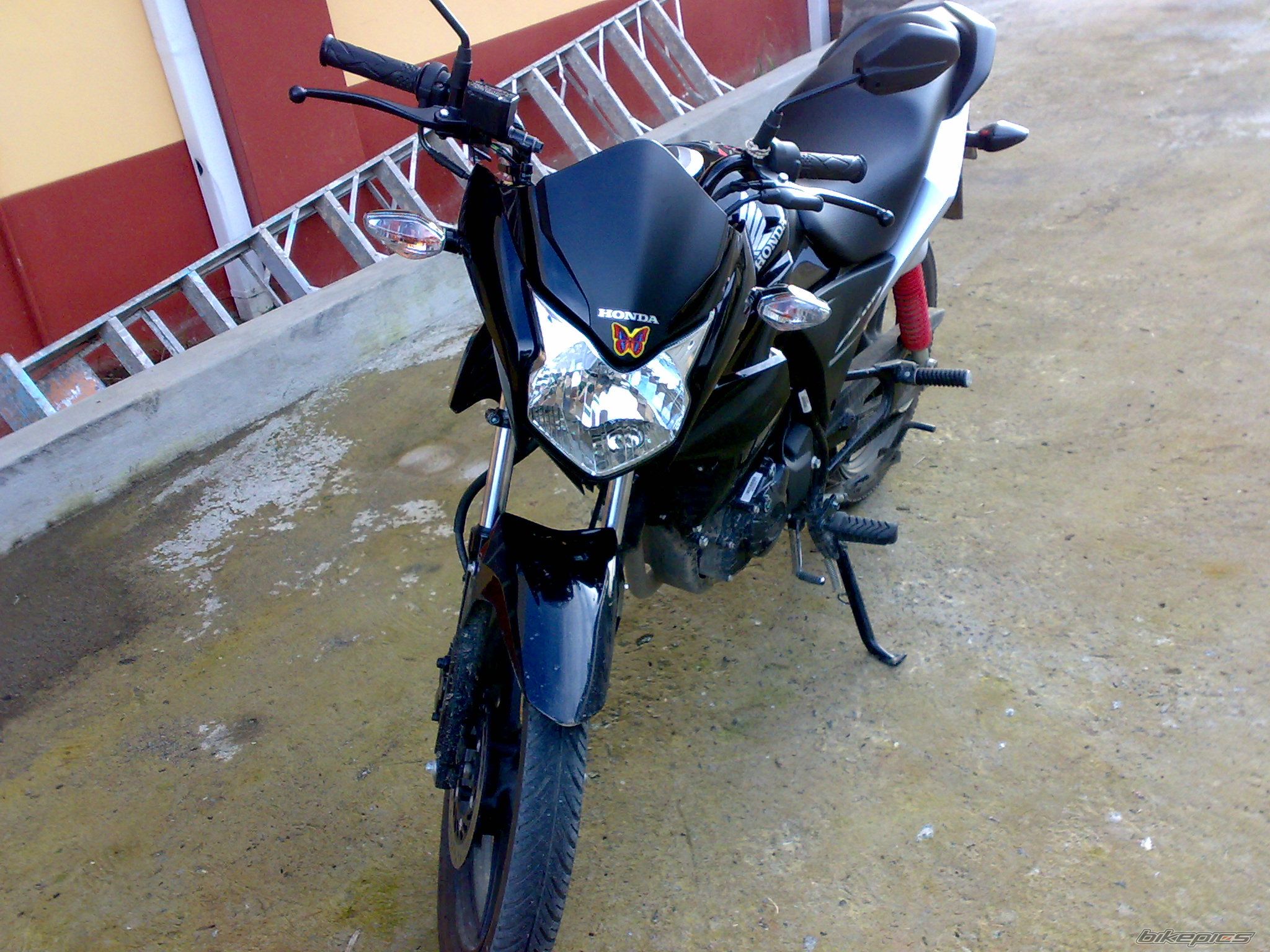 Photo 2303737