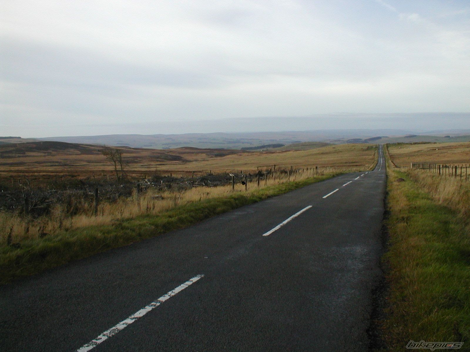 Photo 2303741