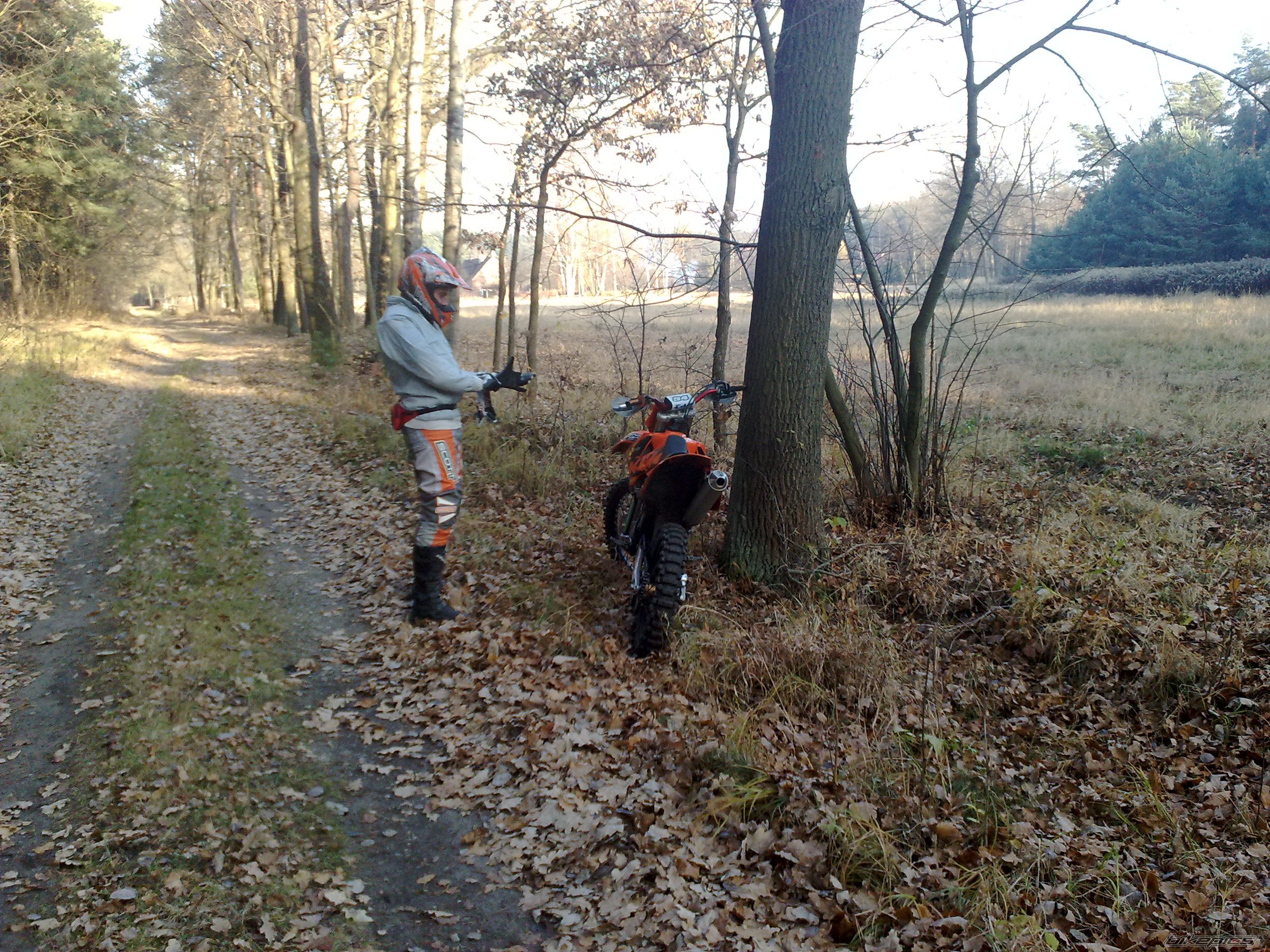 Photo 2303742