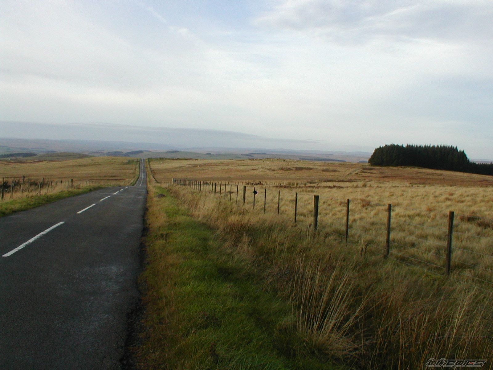 Photo 2303743