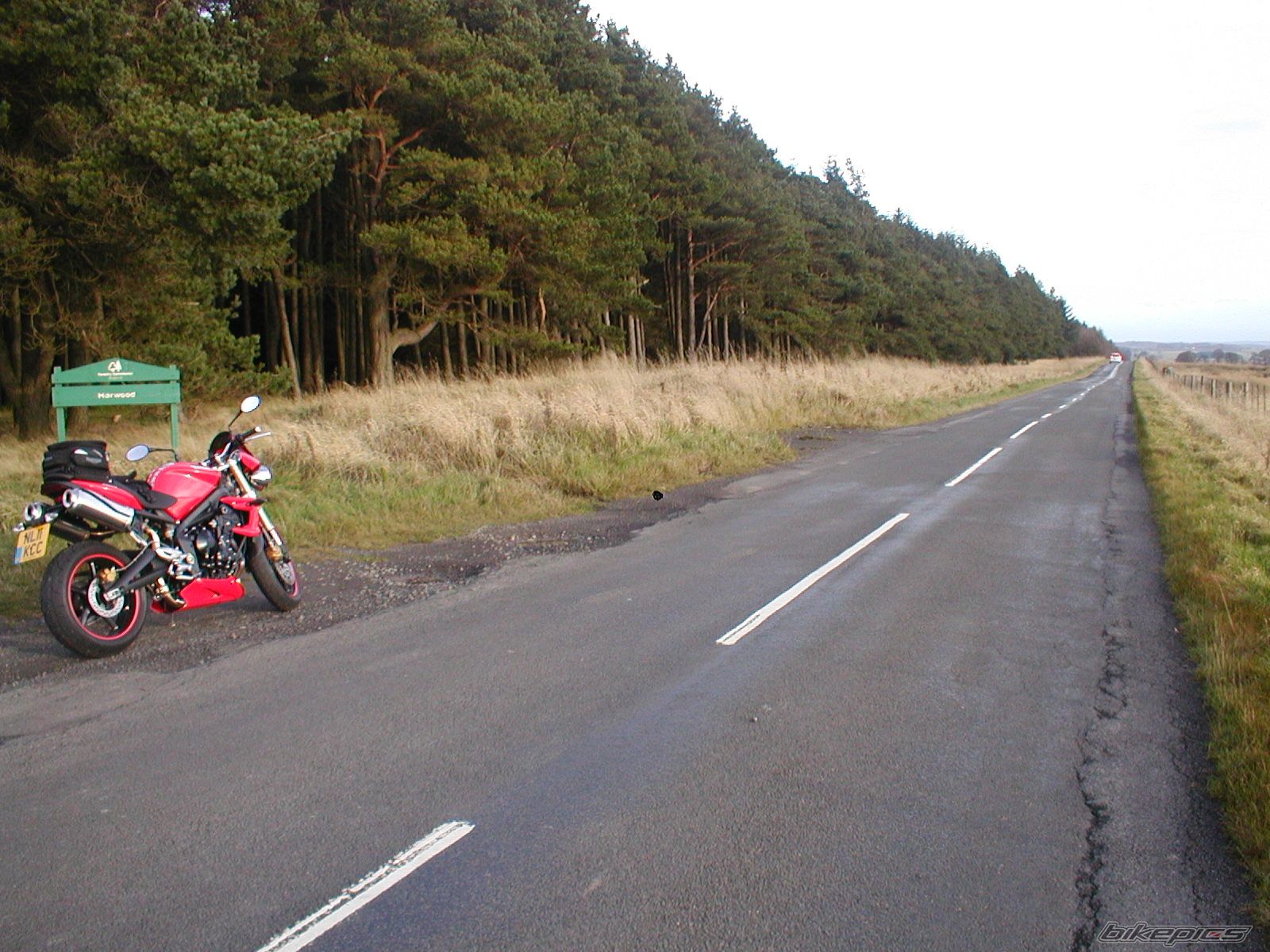 Photo 2303744
