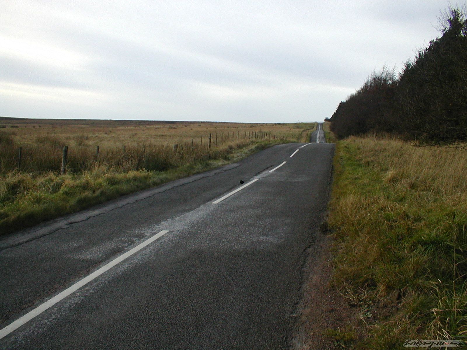 Photo 2303748