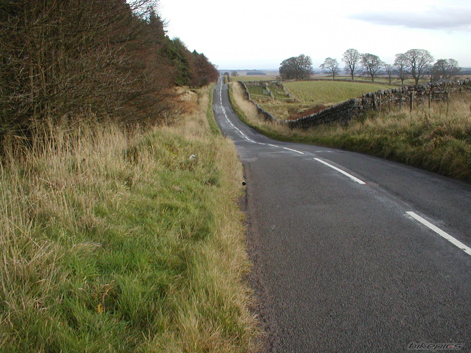 Photo 2303749