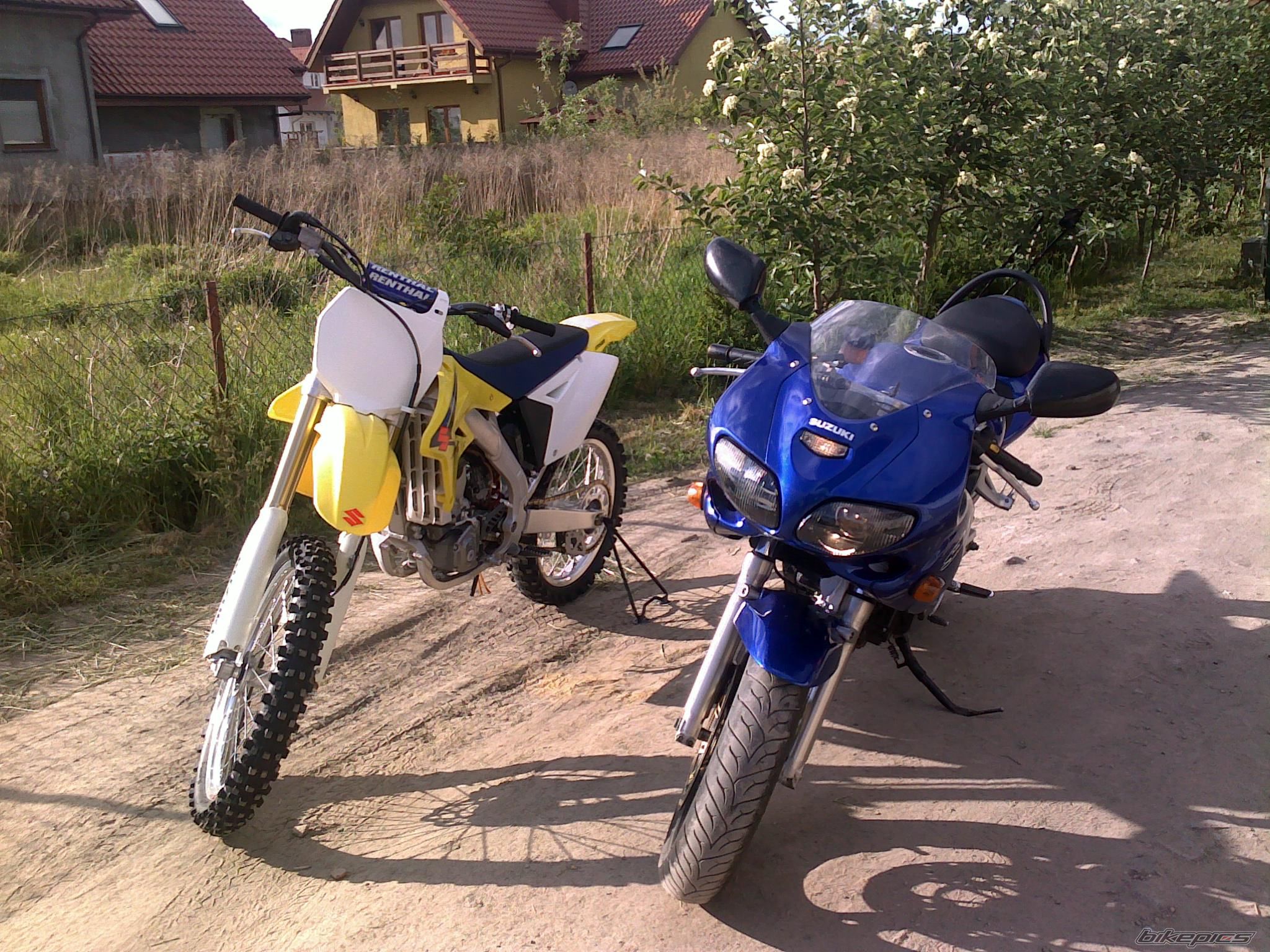 Photo 2303870