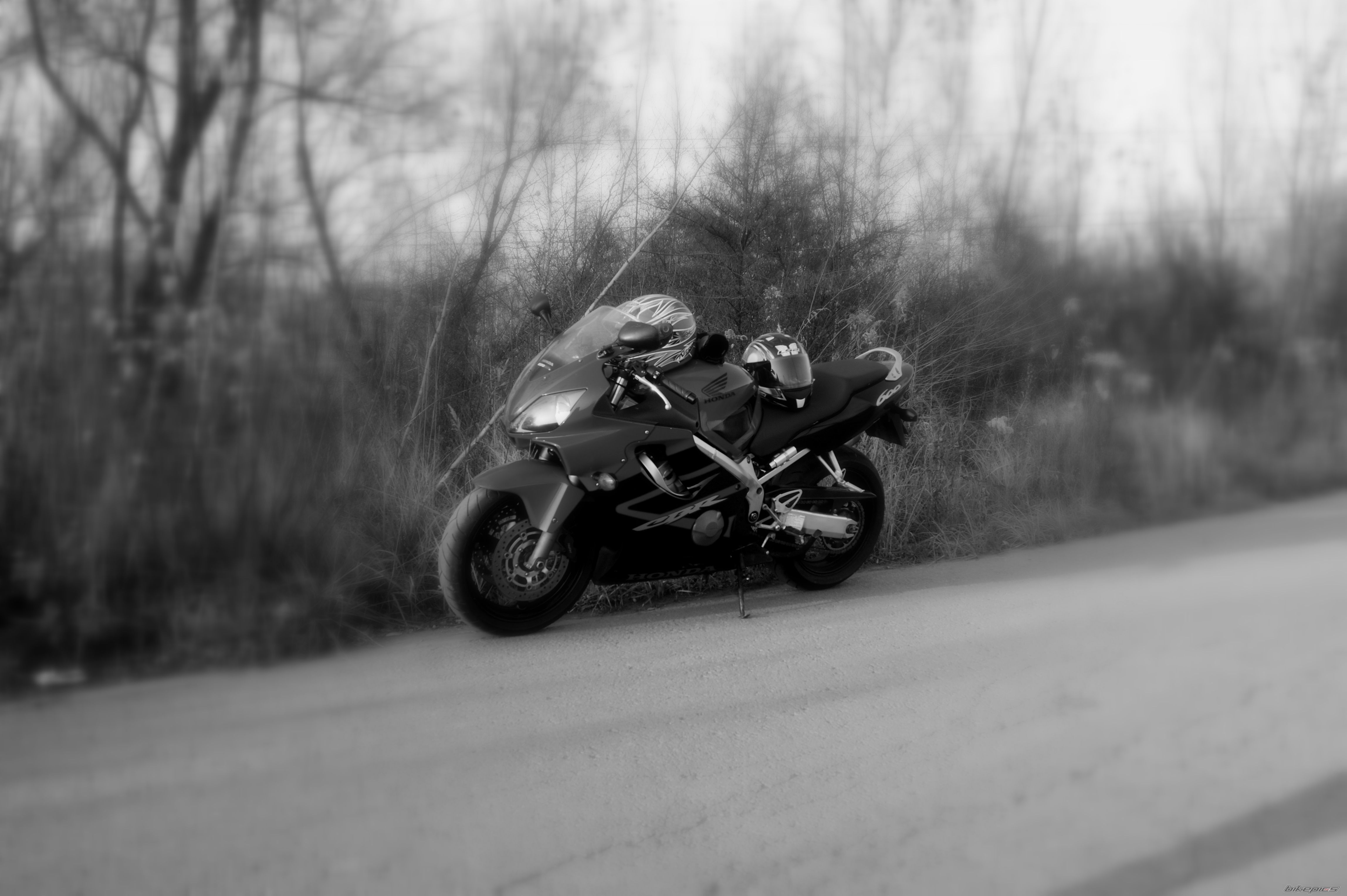 Photo 2303968