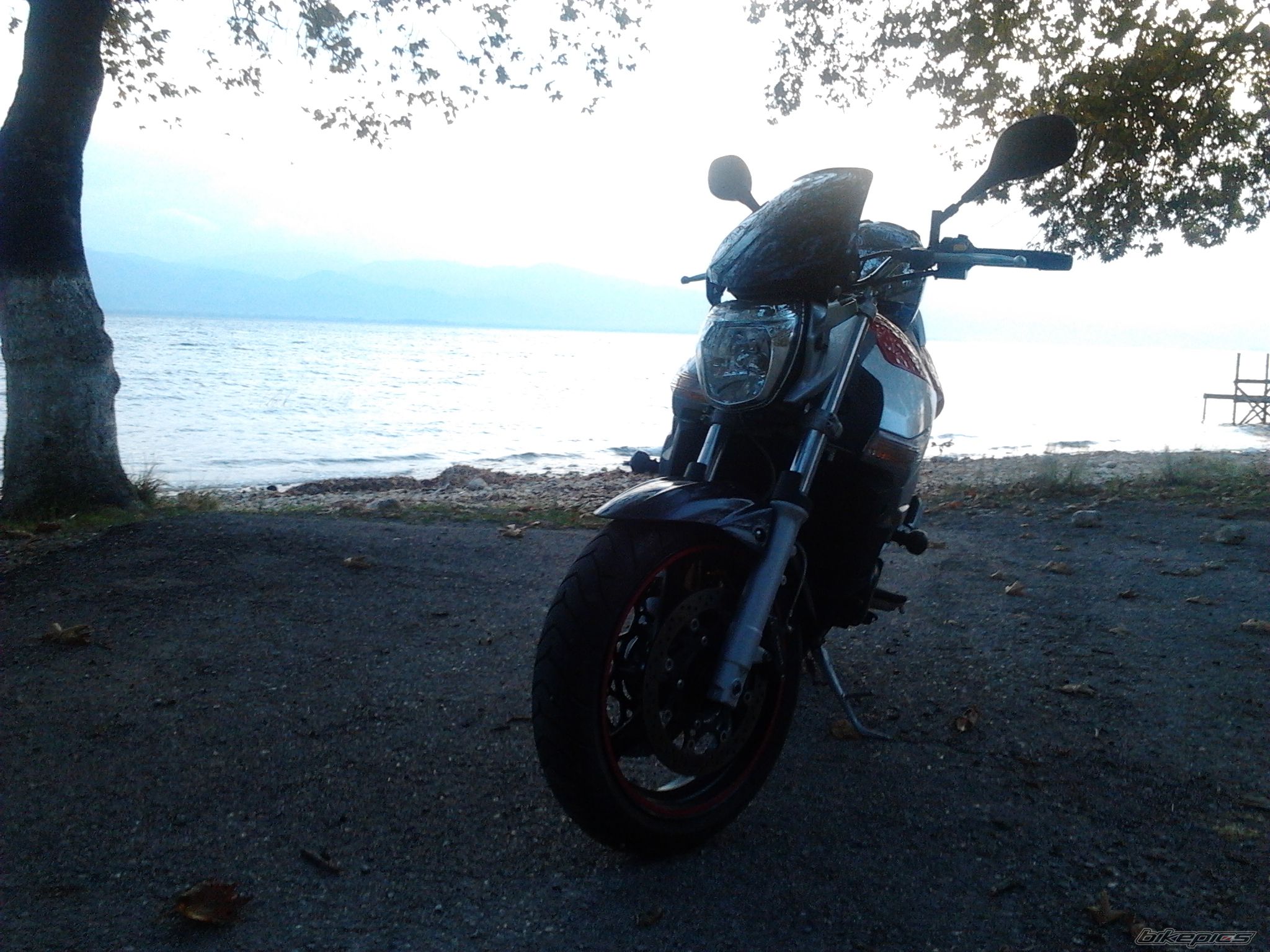 Photo 2303972
