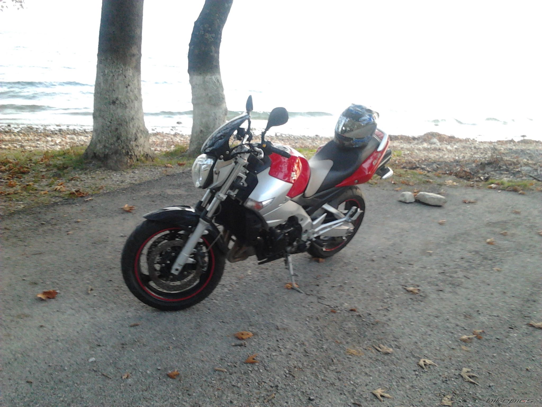 Photo 2303973
