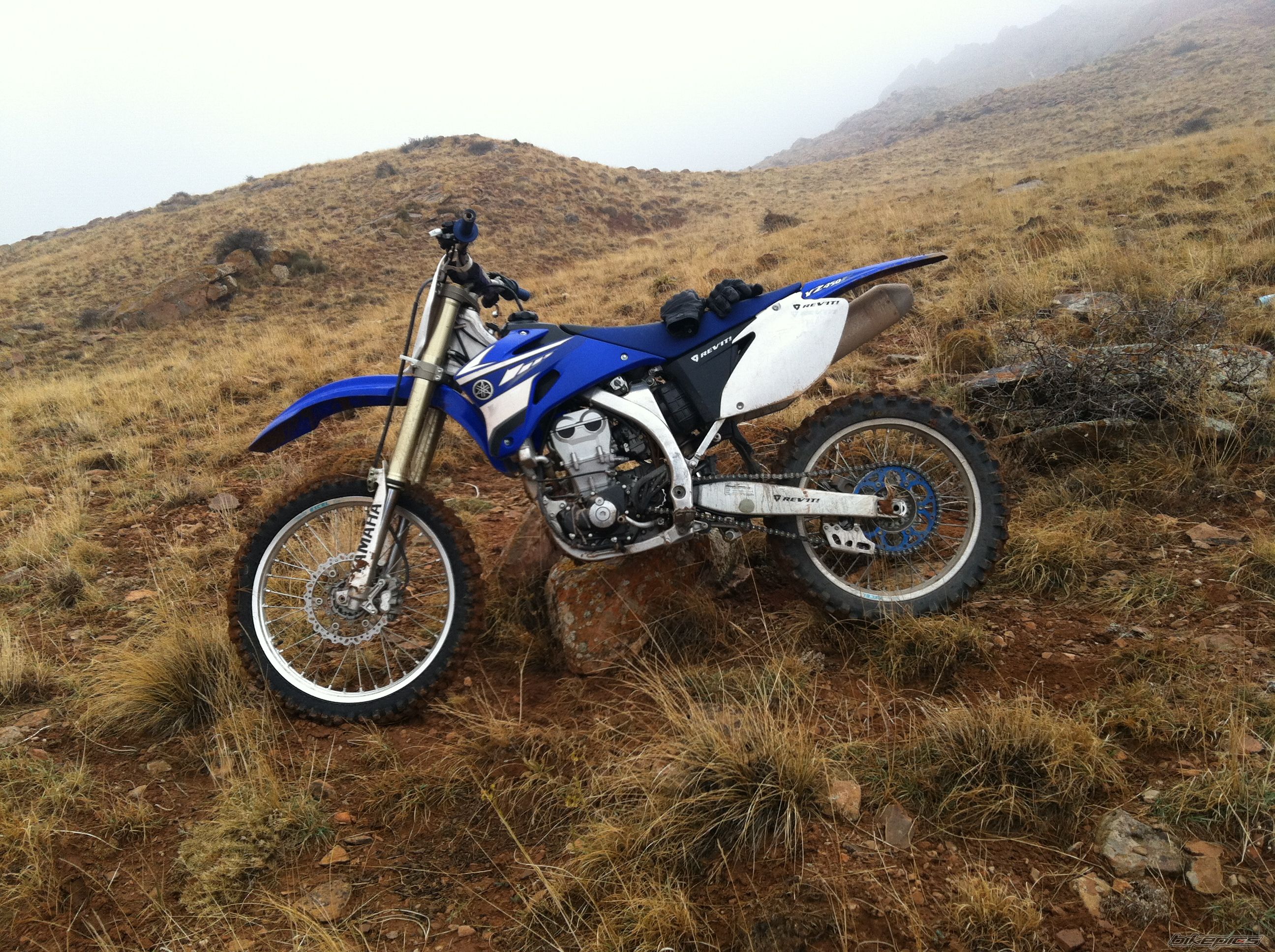 Photo 2303978