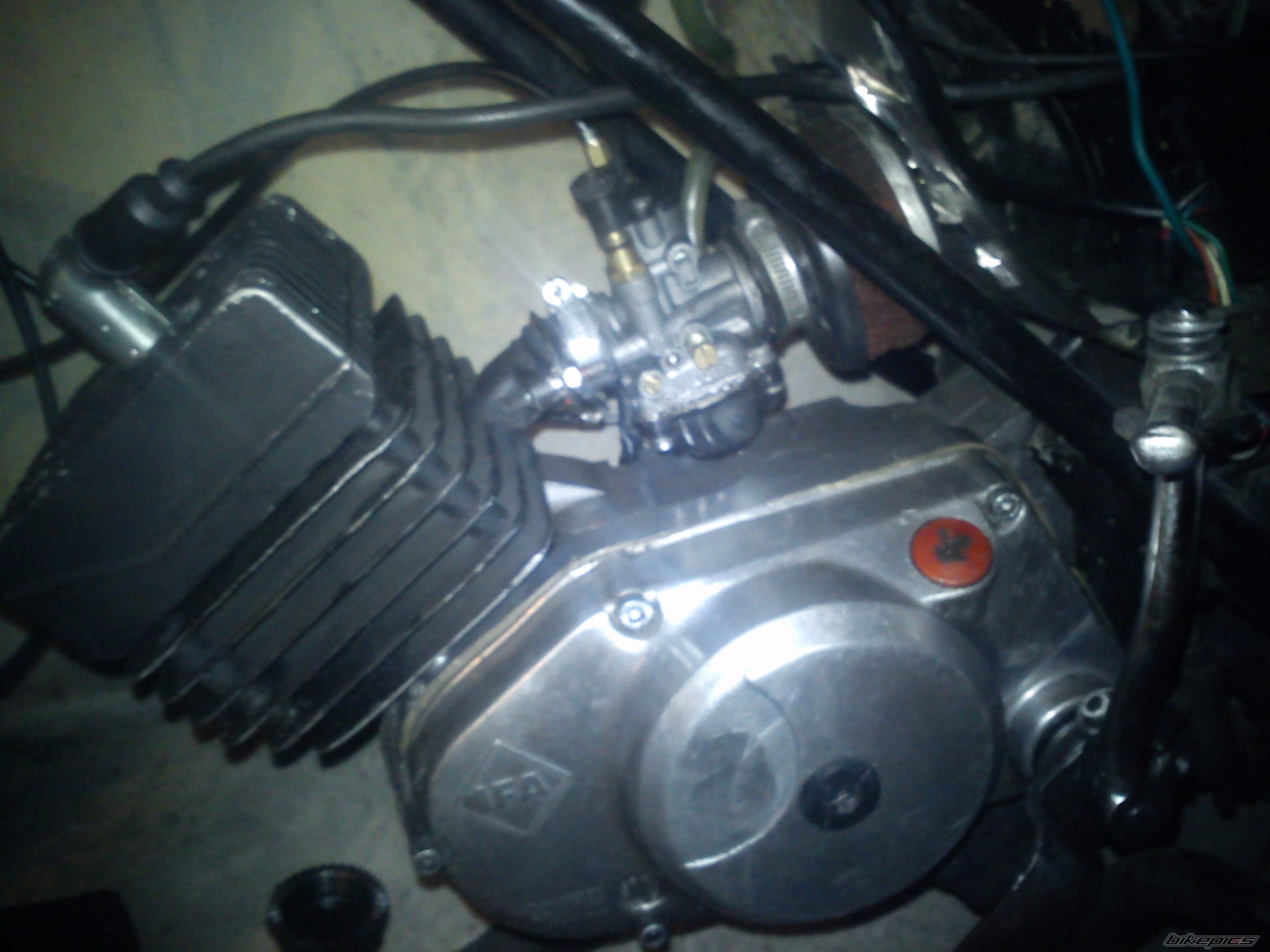 Photo 2303995