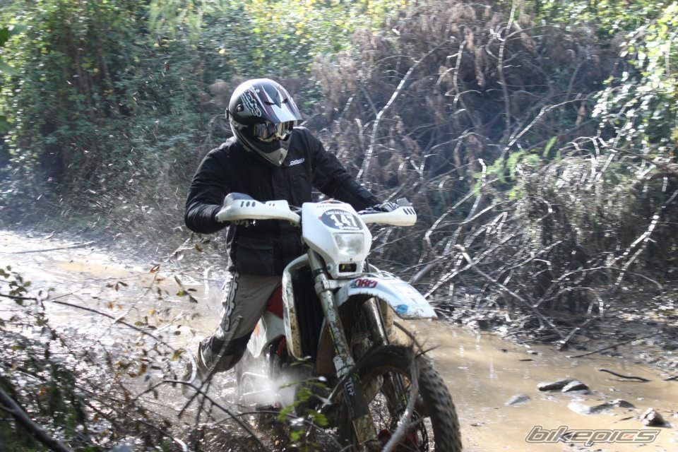 Photo 2304095