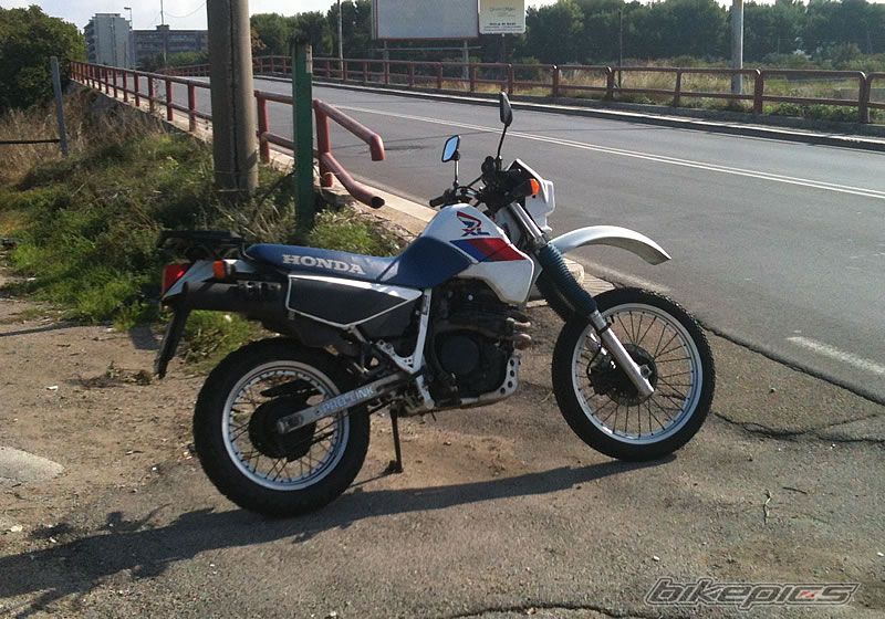 Photo 2304213