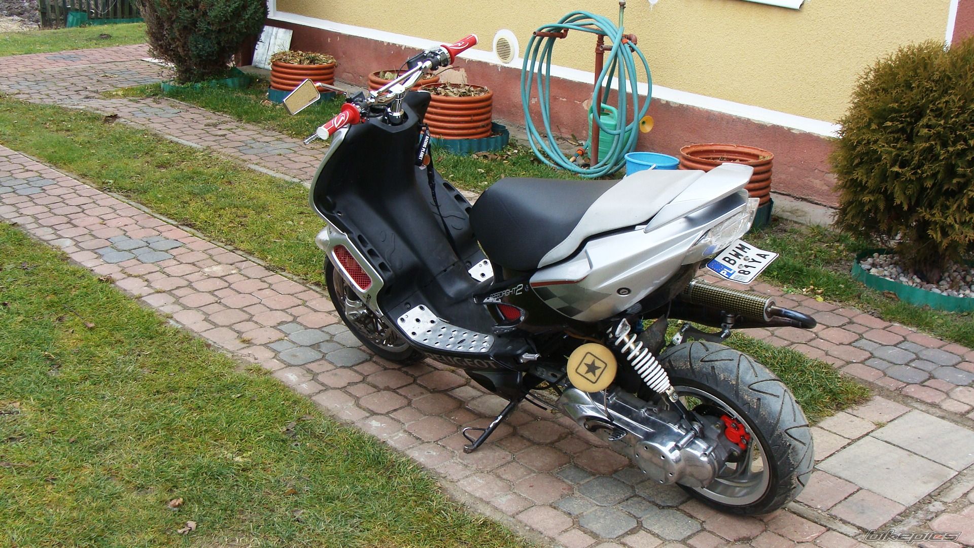 Photo 2304285