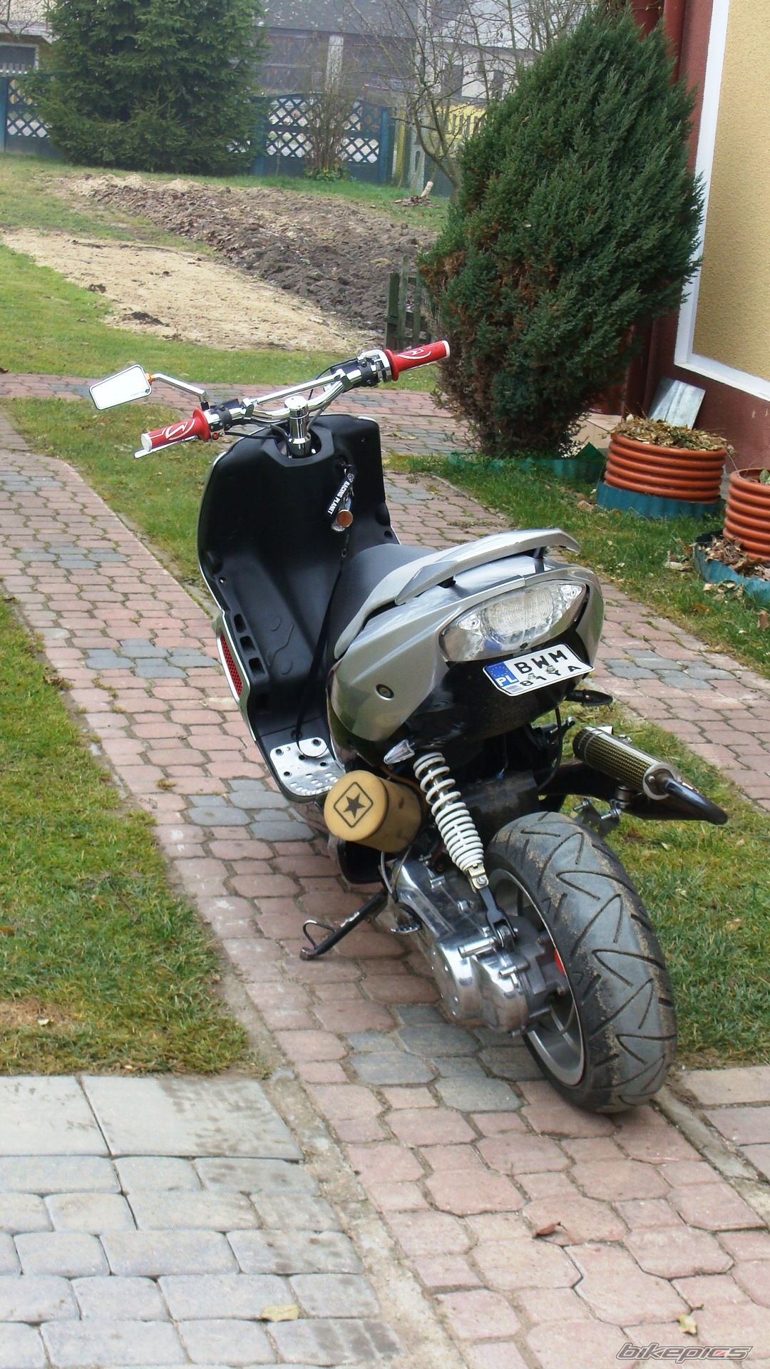 Photo 2304288