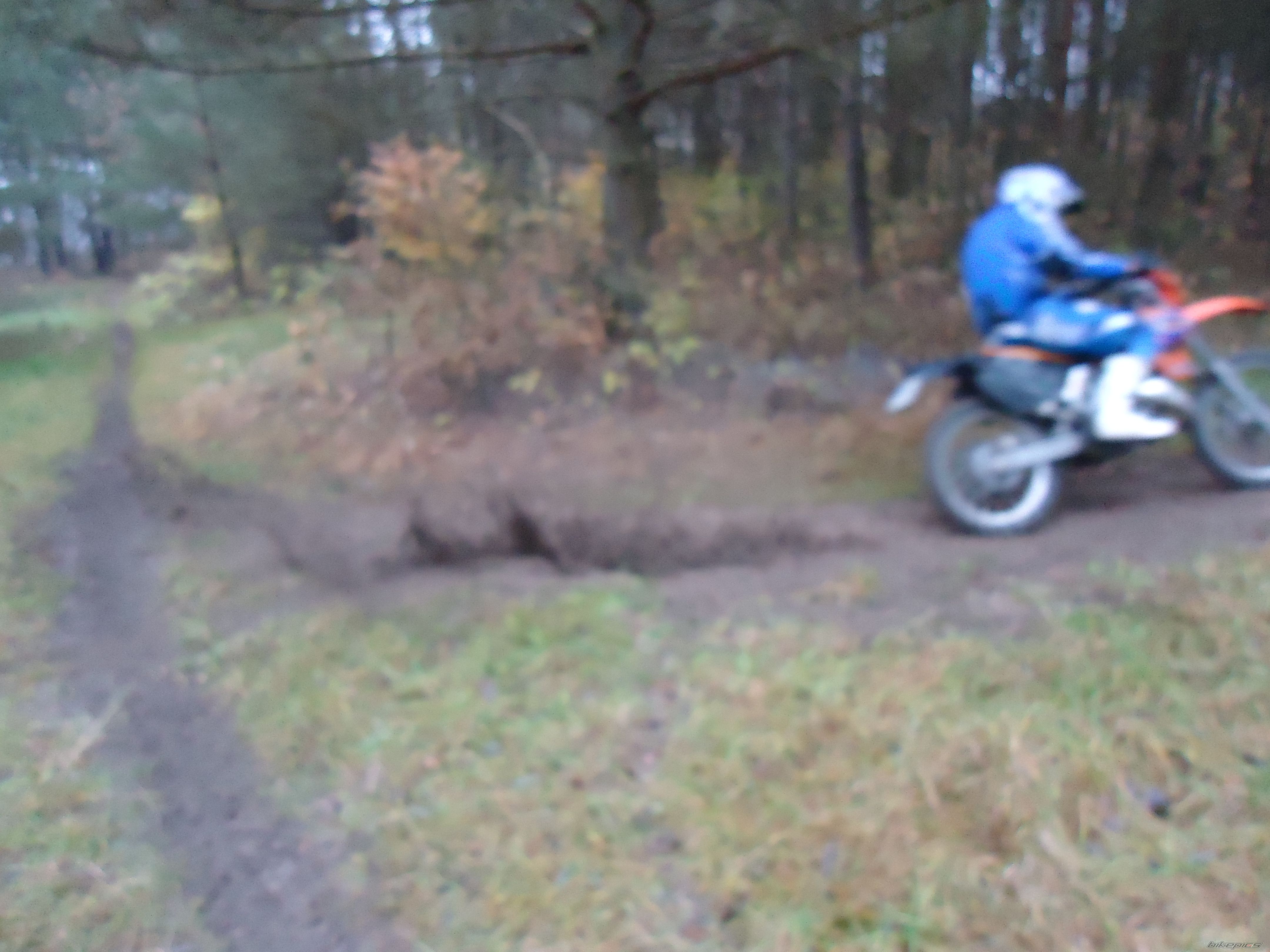 Photo 2304289